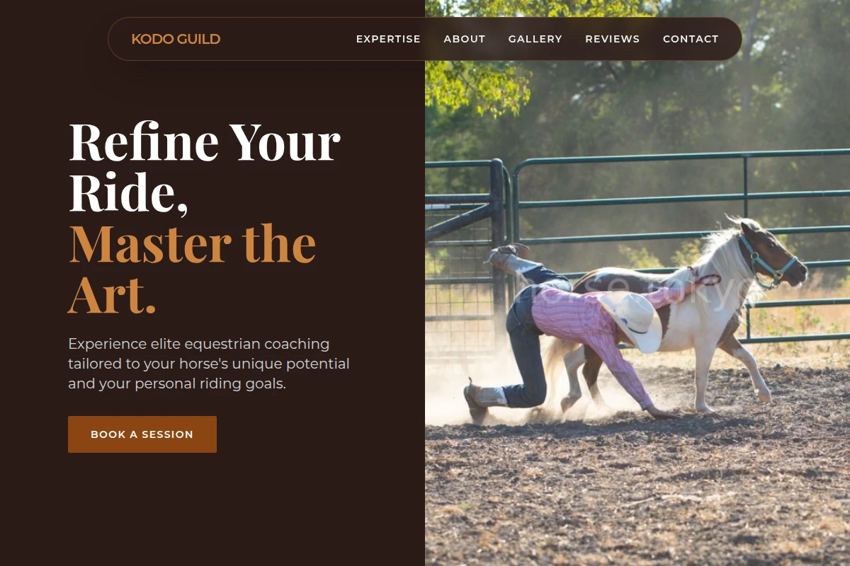 Bit Horse Training